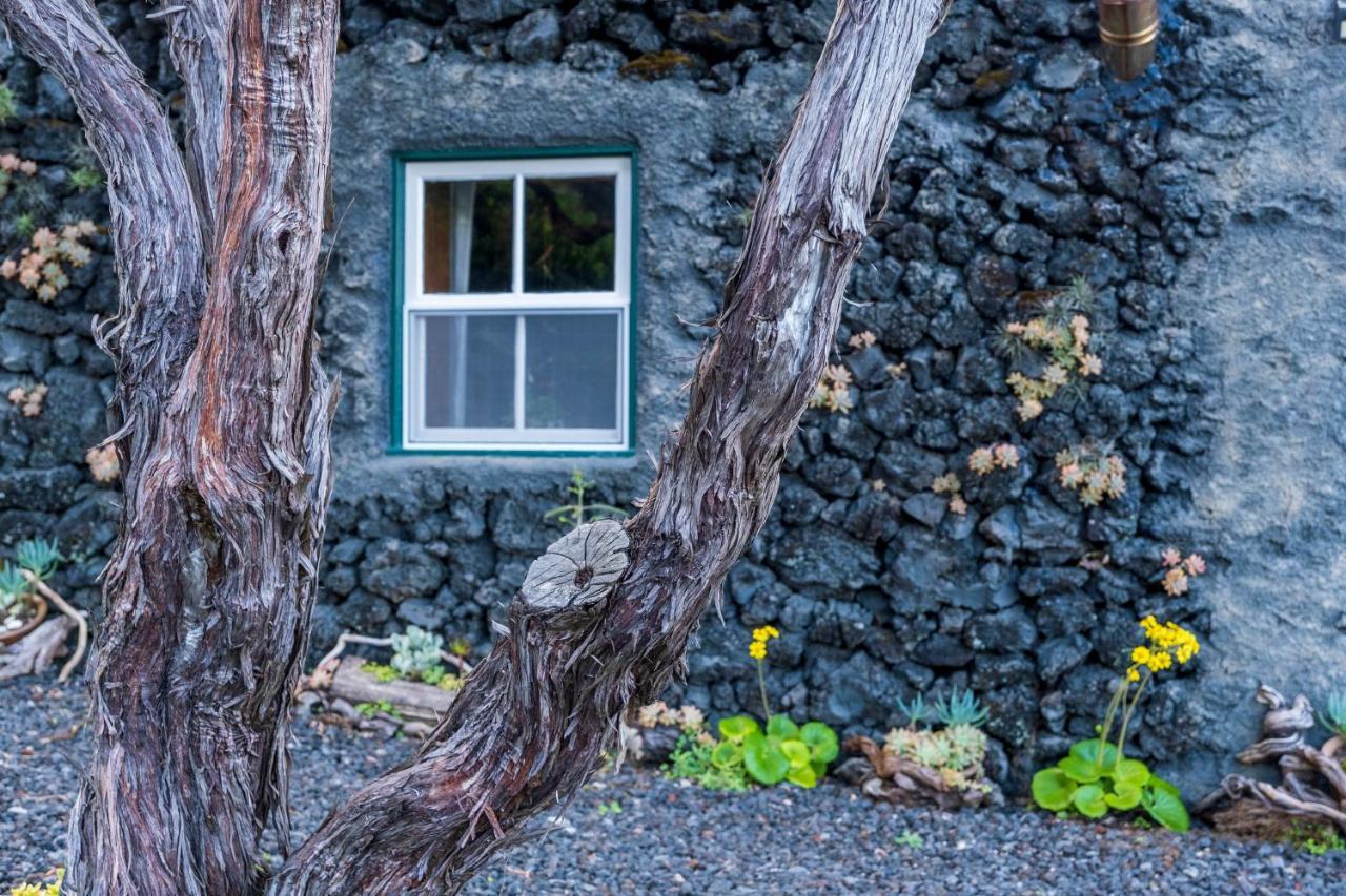 Villa Casa Do Caramba - The Dream House São Roque do Pico Exterior foto